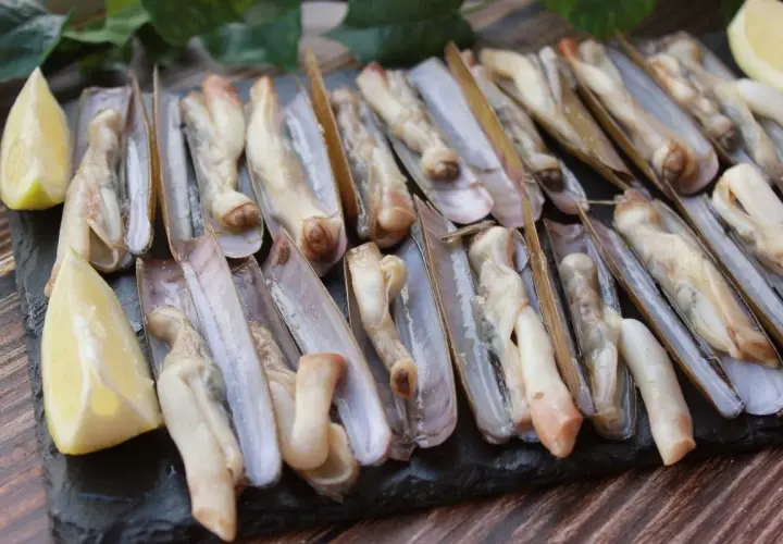 Navajas a la plancha, listas para disfrutar. Un plato de marisco fresco con toques de limón.