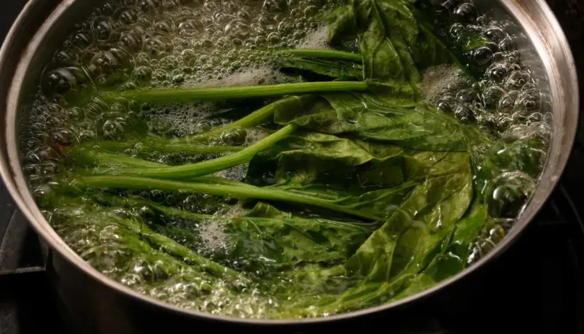 Espinacas frescas hirviendo en una olla. El tiempo de cocción de las espinacas es corto para mantener su frescura.