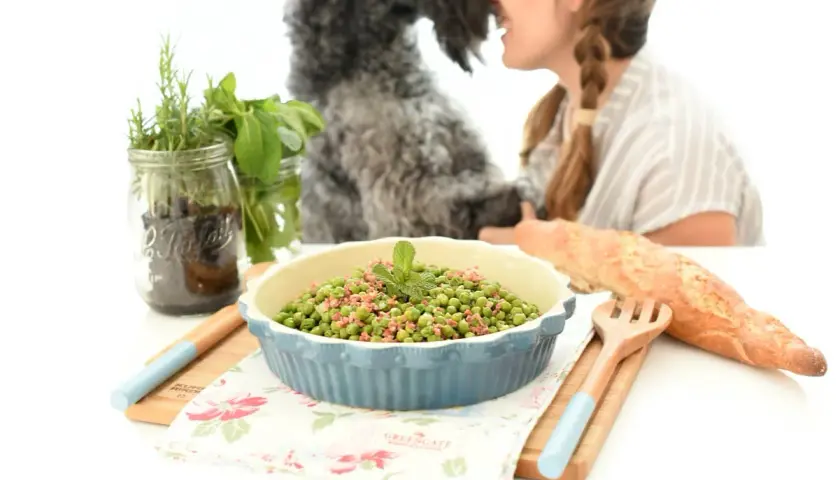 Guisantes con jamón, un plato sencillo y delicioso preparado en Thermomix. Una mujer y su perro disfrutan de la comida.