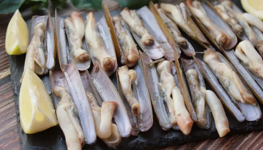 Navajas a la plancha, listas para disfrutar. Un plato de marisco fresco con toques de limón.