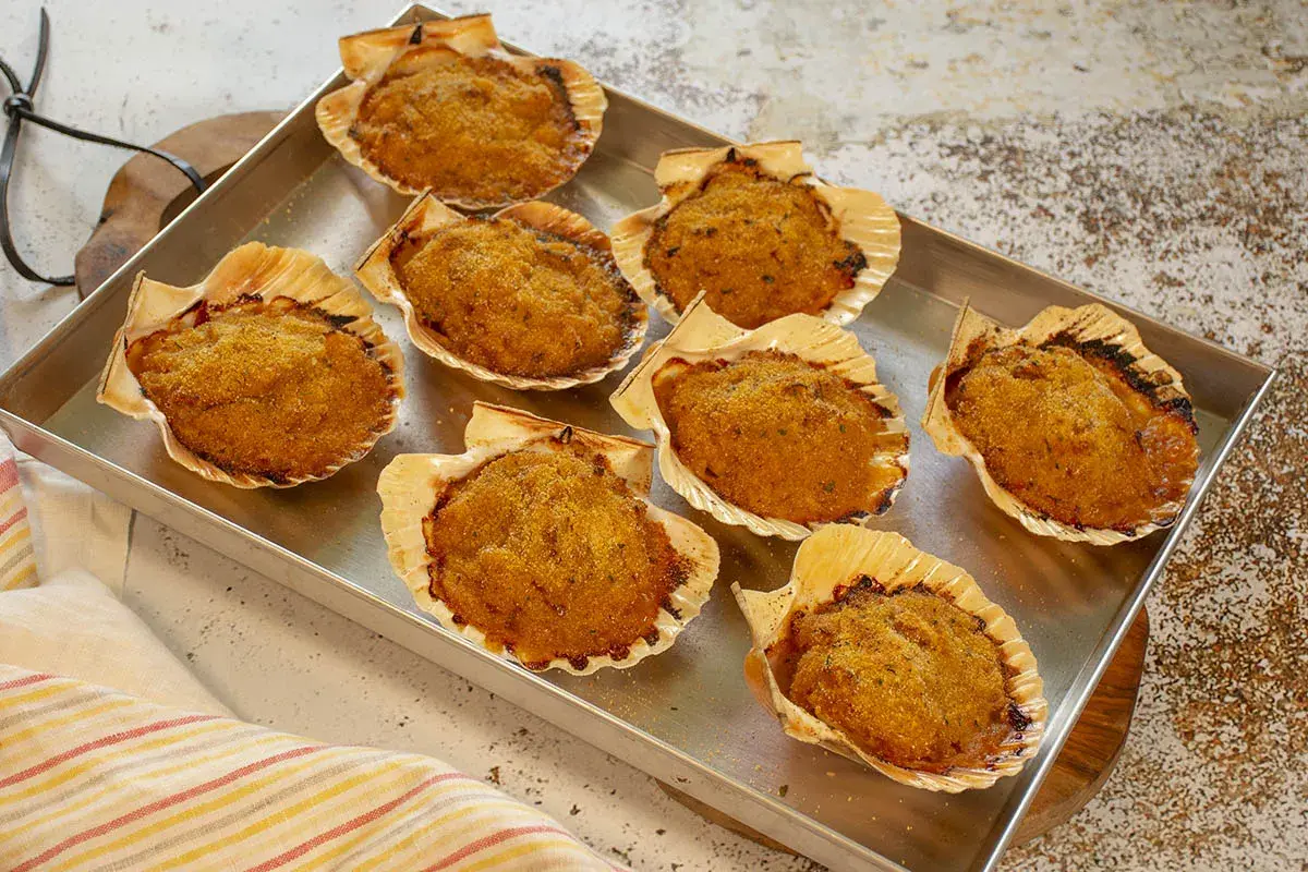 Ocho vieiras a la gallega gratinadas en sus conchas, listas para disfrutar.