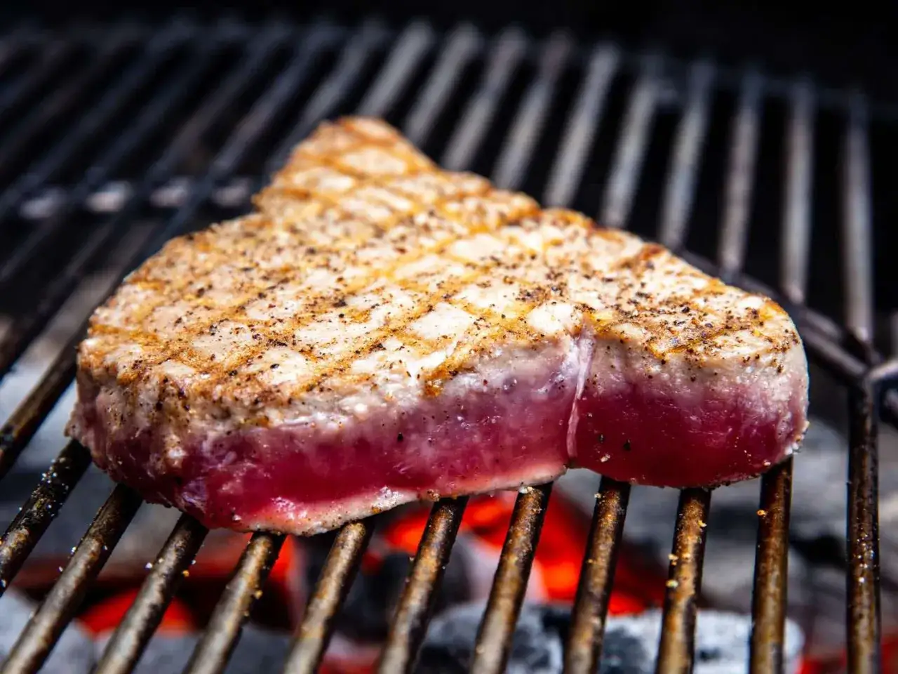 Un jugoso atún a la plancha, con marcas de parrilla y pimienta, se cocina sobre brasas ardientes.
